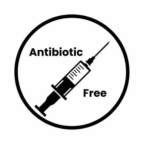 Antibiotic Free