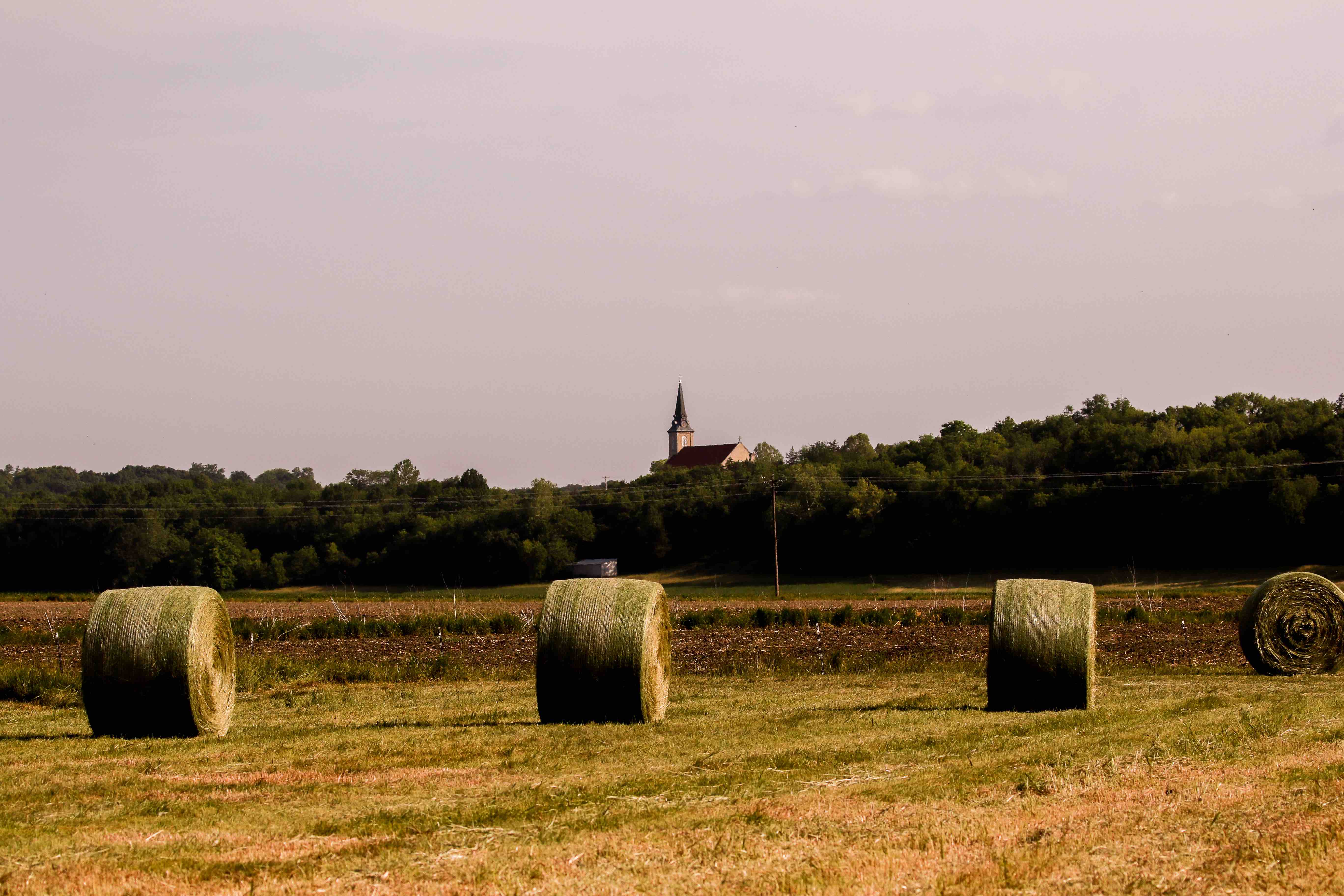 Farmland