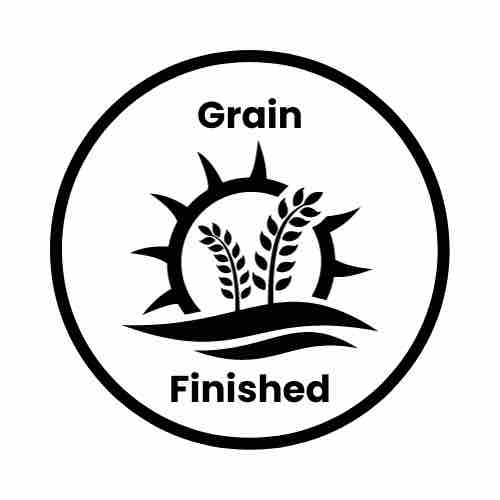 Grain finished